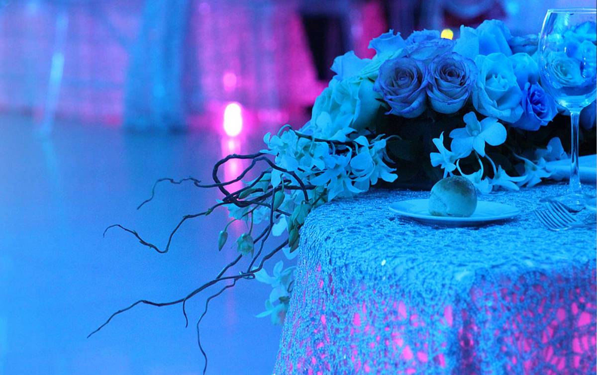 Bodas