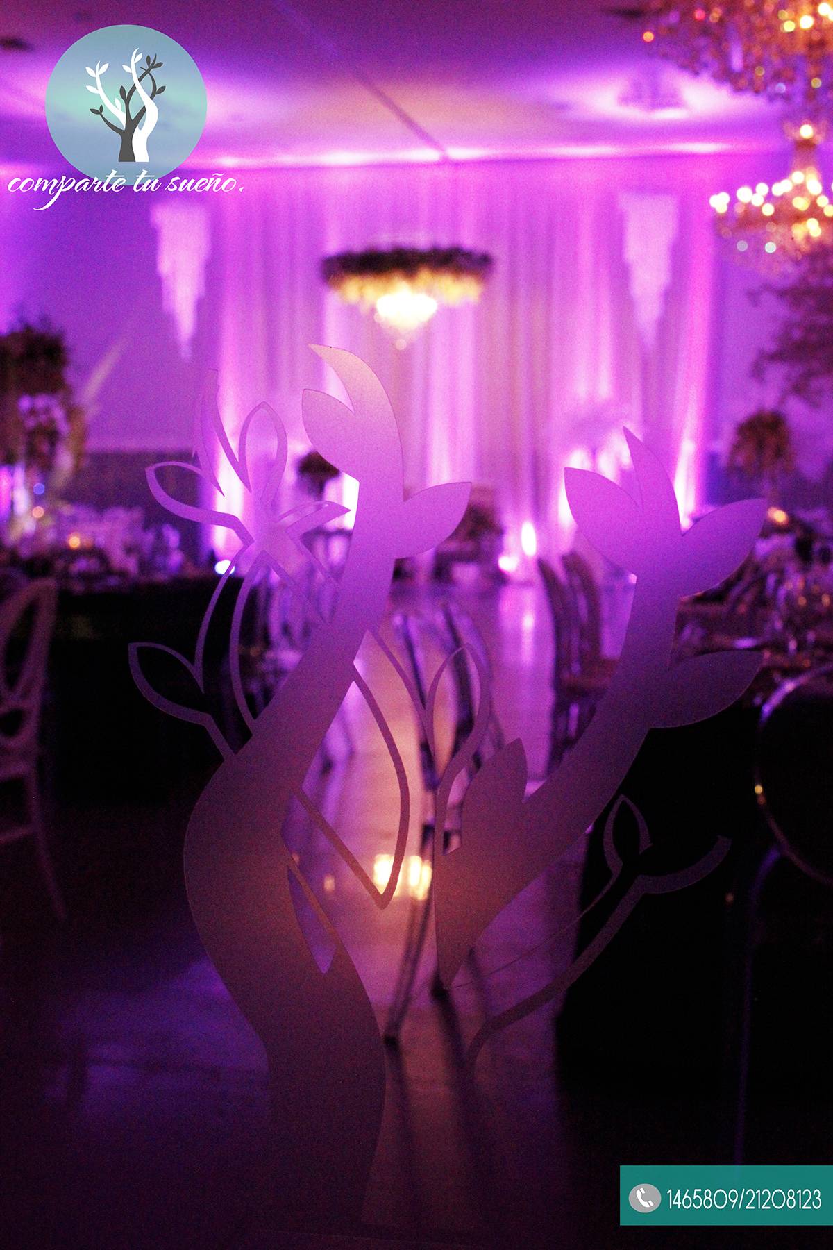 Bodas
