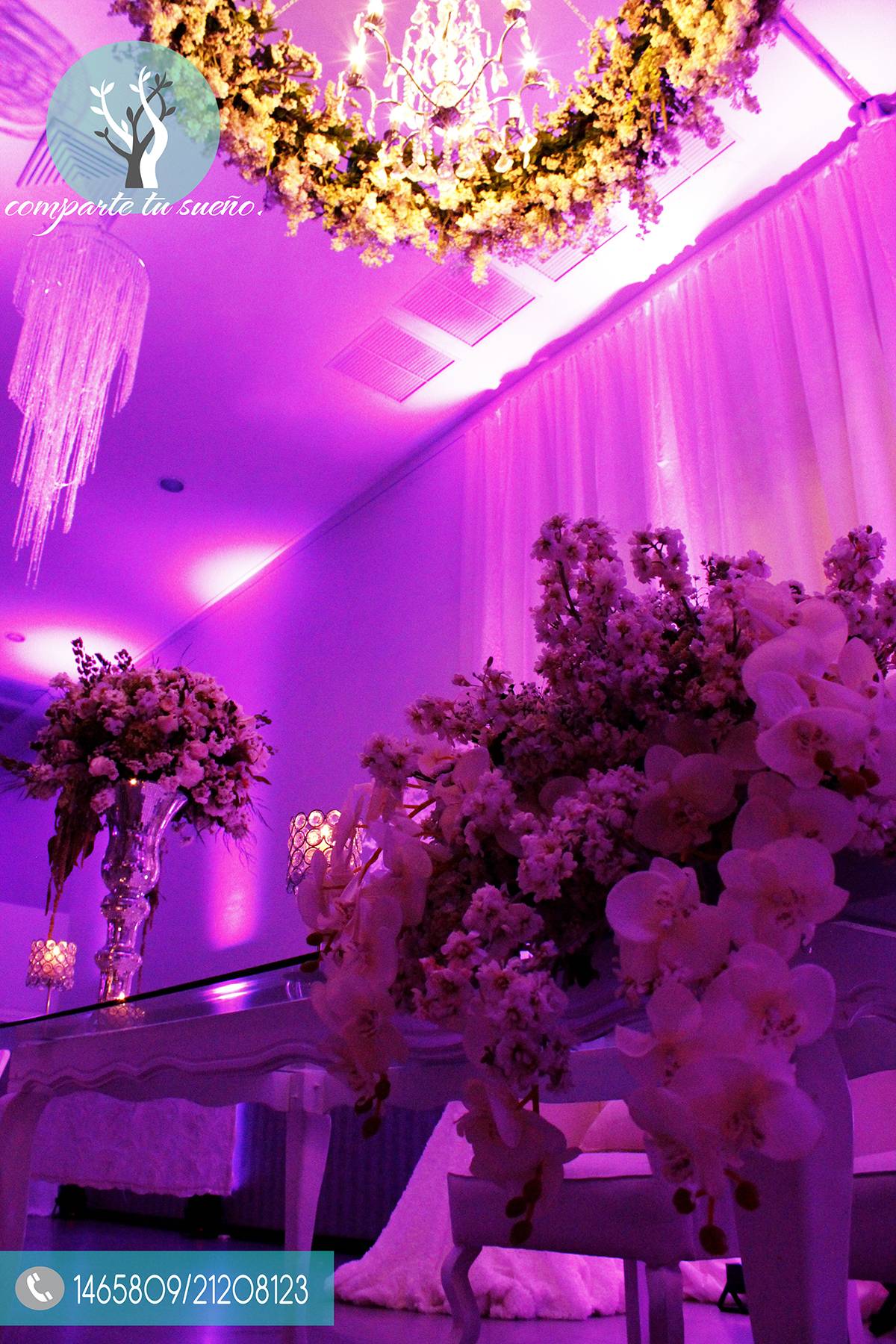 Bodas